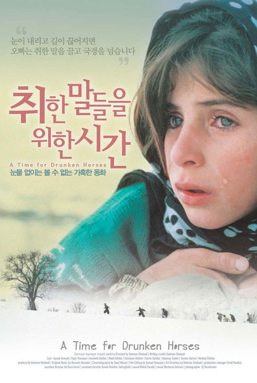 이미지가 없습니다.
