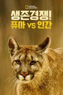 이미지가 없습니다.