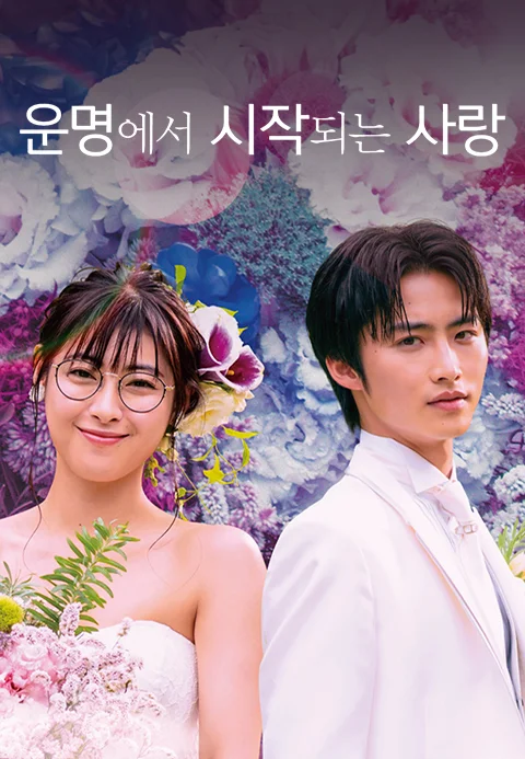 이미지가 없습니다.