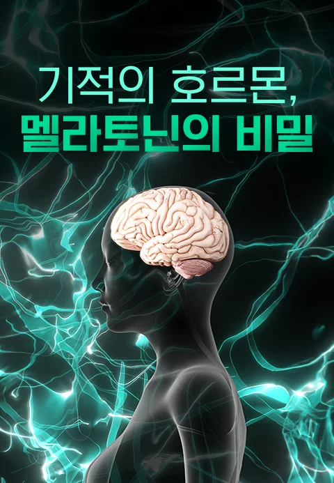 이미지가 없습니다.
